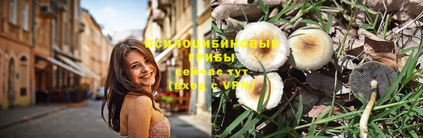 apvp Елабуга