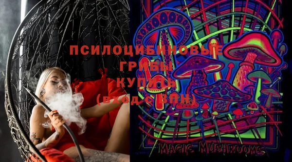 не бодяженный Ельня