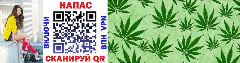 Каннабис SATIVA & INDICA Петухово
